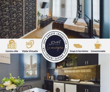 Studio Deschainets Troyes Gare Et Centre Historique