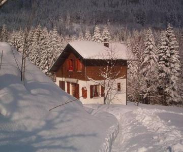 Charming Chalet In Ventron With Terrace