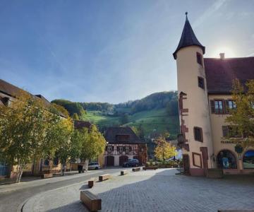 Au Cœur Du Val D'argent Duplex Atypique à Sainte-marie-aux-mines