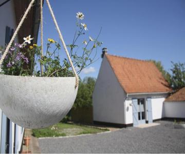 A L'ombre Du Prunier