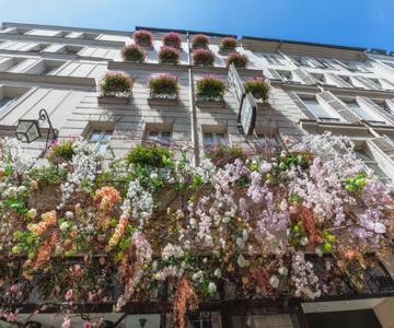 Dauphine St. Germain