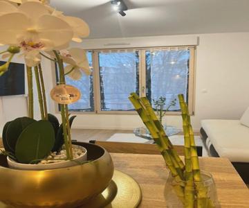 Seemingly Spacious Modern & Bright Chic Paris