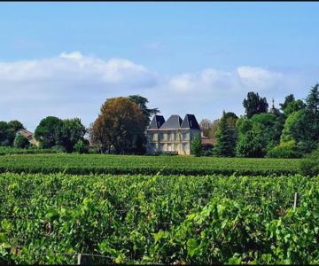 Chateau Tanesse De Tourny