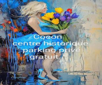 Cocon Centre Historique