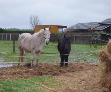 Les 3 Notes De Mérotte
