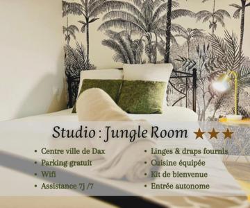 Jungle Room, Centre Ville Dax