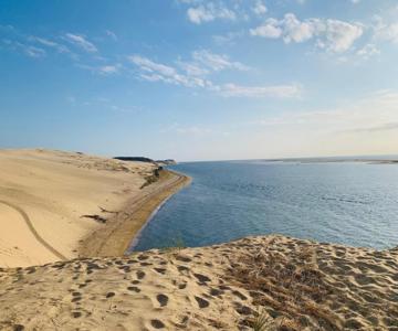 Pyla Sur Mer - Appartement Terrasse Sous Les Pins - 200m De La Plage