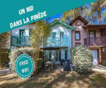 Un Nid Dans La Pinède