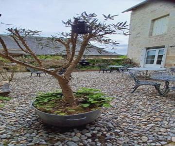 Logis La P'tite Futée