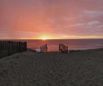 La Belle Basco Landaise