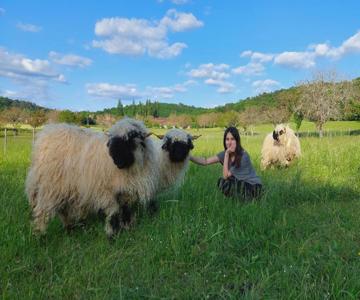 Ferme Des Petites Oreilles 4 Etoiles