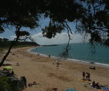 Studio Dunes Aux Ecureuils