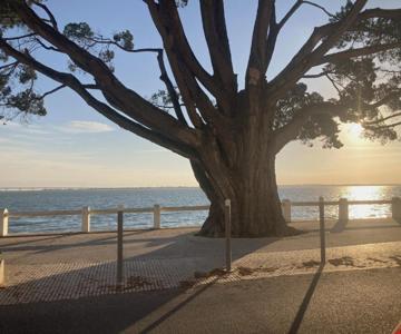 Un Cocon Face à La Plage