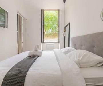 Appartement Albi Parking Gratuit