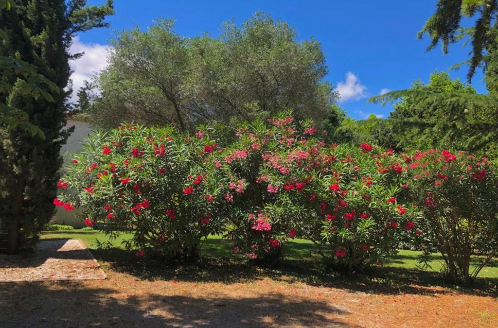 Le Nid des Corbières
