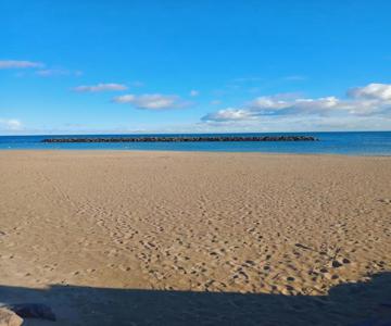 Studio Cap D'agde Le Môle