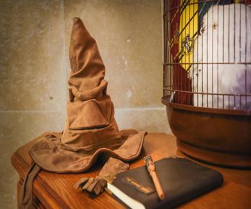 Harry Potter - Gameroom - La Quete Du Sorcier - Experience Magique A Carcassonne