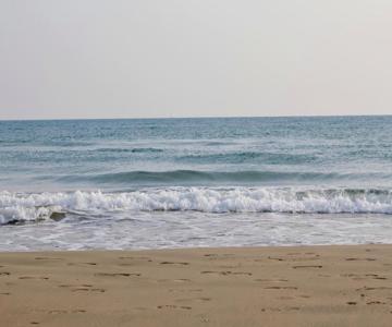 Bel Appartement Spatieux