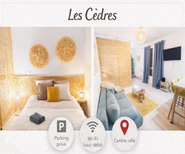 Les Cèdres - Grand Studio - Neuf