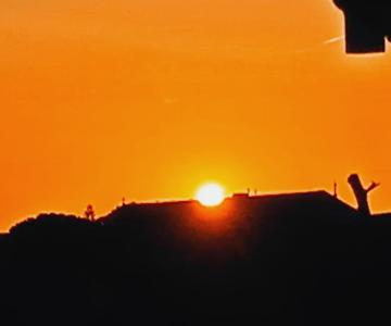 Appartement Avec Jardin