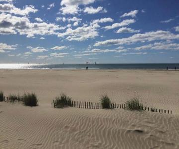 Studio Cosy En Bord De Mer