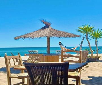 T3 Grande Terrasse Bord De Mer