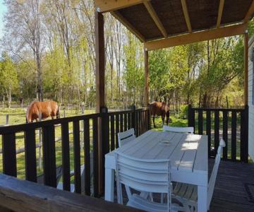 Les Gîtes De Camargue