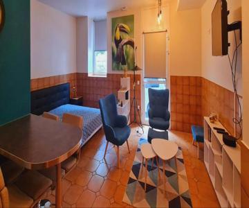 Mazamet : Résidence Du Musée Centre Ville.