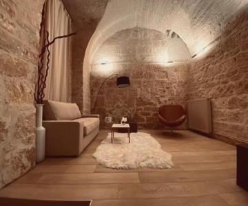 Loft Design Dans Hotel Particulier