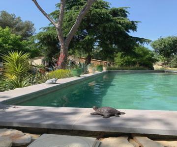 Chambres D''hotes Lovely Planette