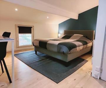 Triplex Pamiers Centre-logement Entier