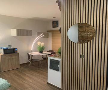 Studio 25m2 En Plein Cœur De Perpignan