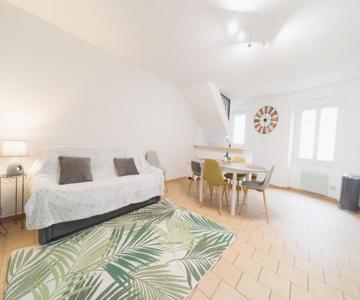Ravissant Triplex Et Duplex Au Centre De Pont St Esprit