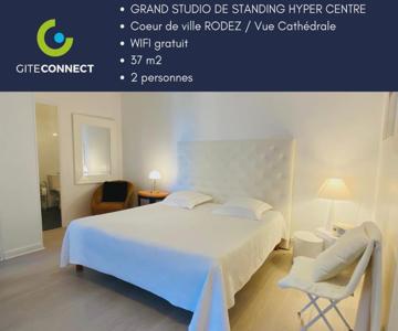 Grand Studio De Standing Hyper Centre