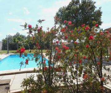 Appartement Indépendant Avec Jardin