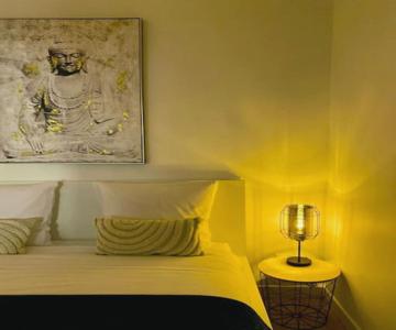 ''lotus'' Superbe T2 Centre Ville Climatisé - Wifi