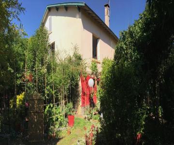 La Bulle Dans Le Palmier