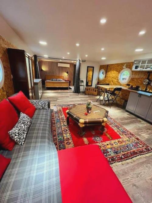 Magnifique Péniche Cosy Et Spacieuse à Toulouse