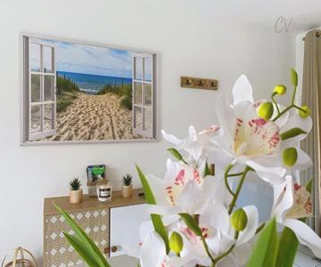 Maison douceurs D'Été