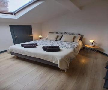 Charmant T2 Au Coeur D'angers