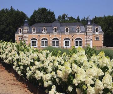 Orangerie De La Touchardie Re