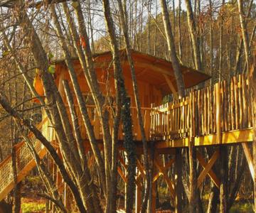 Cabane Des Cerfs