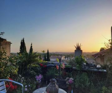 Un Nid Sur Les Toits Face Au Palais Des Papes