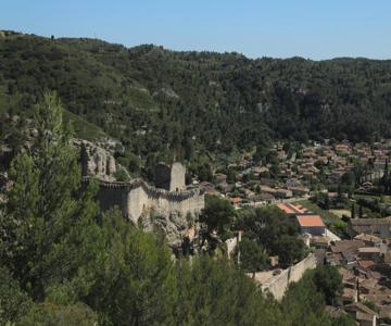 Les Lavandes De Sèverine
