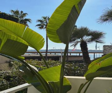 Palm Beach front de mer