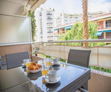 Palm Paradise Next To The Croisette