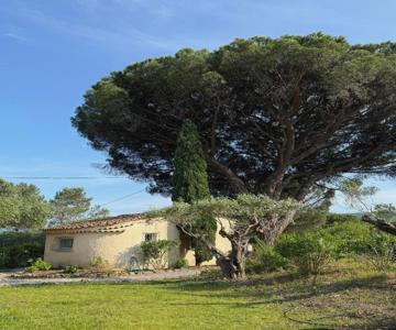 Le Mazet Du Grand Pin