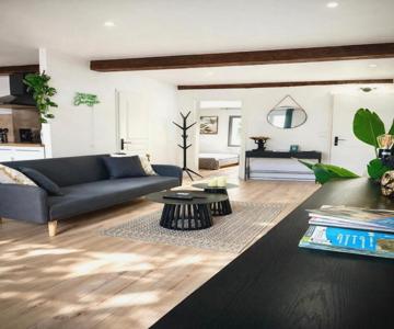 Jungle Suite - Draguignan