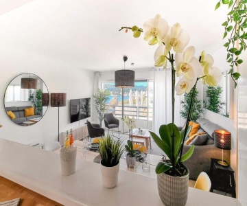 Le Coucher De Soleil