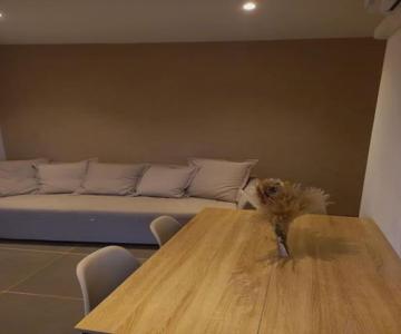 Superbe appartement Fabrégas